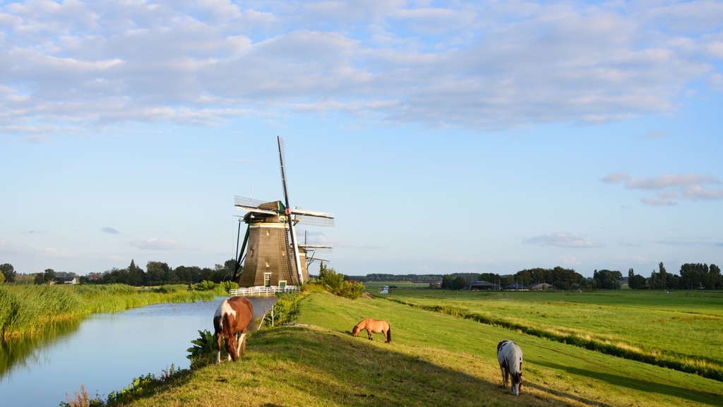 A windmill stands by a canal in a lush, green countryside where horses graze under a partly cloudy sky.