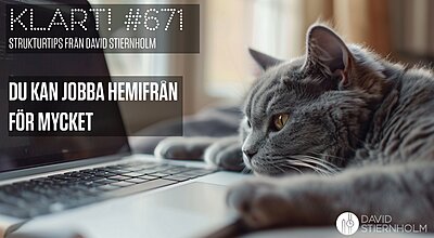 En grå katt ligger på ett tangentbord till en bärbar dator och ser avslappnad och lite uttråkad ut.